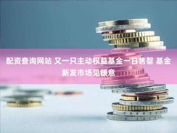 配资查询网站 又一只主动权益基金一日售罄 基金新发市场见暖意