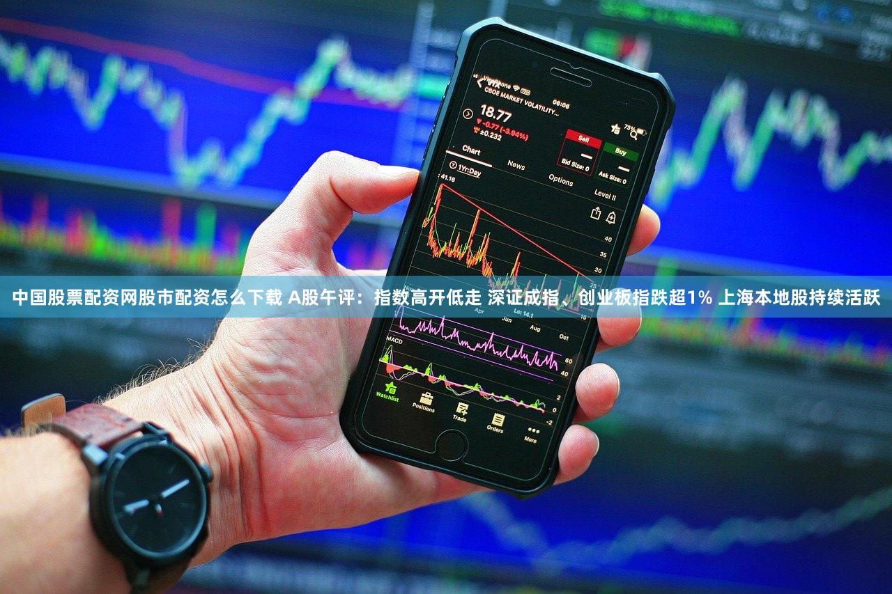 中国股票配资网股市配资怎么下载 A股午评：指数高开低走 深证成指、创业板指跌超1% 上海本地股持续活跃