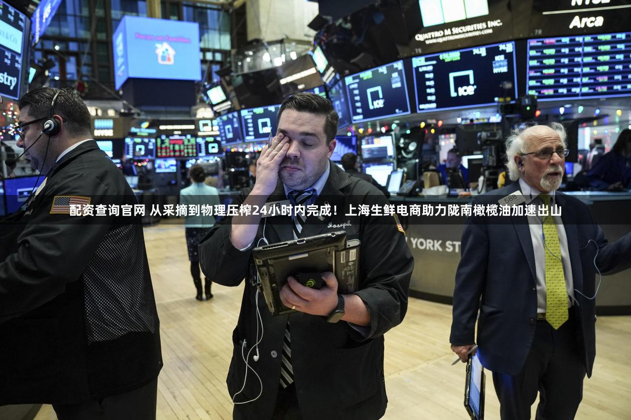 配资查询官网 从采摘到物理压榨24小时内完成！上海生鲜电商助力陇南橄榄油加速出山