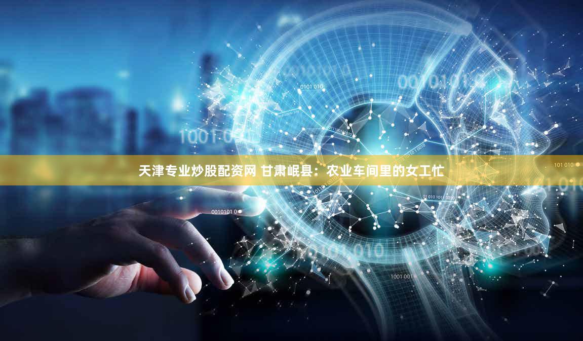 天津专业炒股配资网 甘肃岷县：农业车间里的女工忙