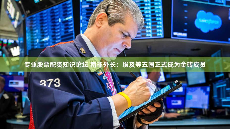 专业股票配资知识论坛 南非外长：埃及等五国正式成为金砖成员
