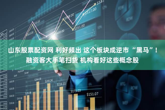 山东股票配资网 利好频出 这个板块成逆市 “黑马”！融资客大手笔扫货 机构看好这些概念股
