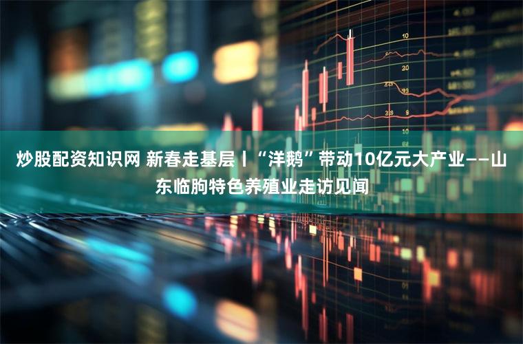 炒股配资知识网 新春走基层丨“洋鹅”带动10亿元大产业——山东临朐特色养殖业走访见闻