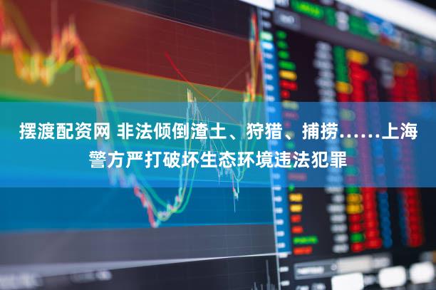 摆渡配资网 非法倾倒渣土、狩猎、捕捞……上海警方严打破坏生态环境违法犯罪