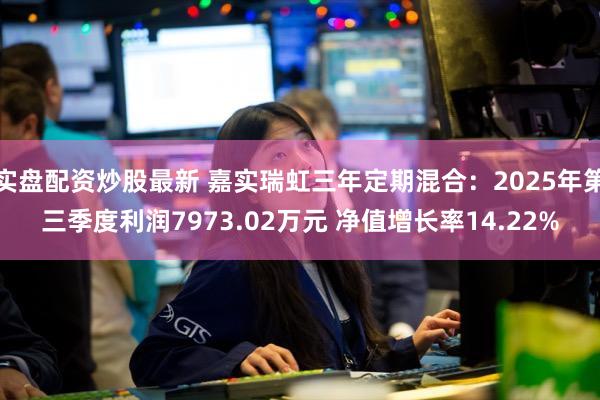 实盘配资炒股最新 嘉实瑞虹三年定期混合：2025年第三季度利润7973.02万元 净值增长率14.22%