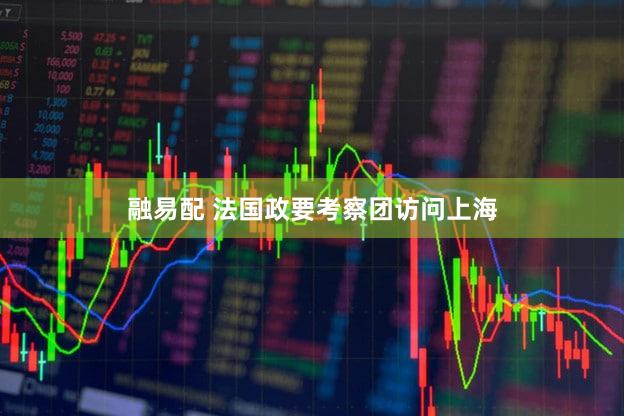 融易配 法国政要考察团访问上海