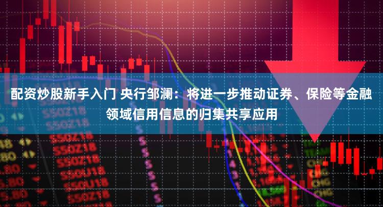 配资炒股新手入门 央行邹澜：将进一步推动证券、保险等金融领域信用信息的归集共享应用