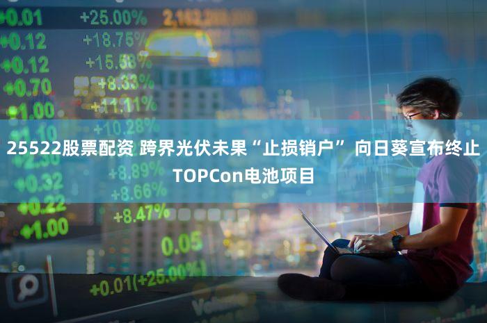 25522股票配资 跨界光伏未果“止损销户” 向日葵宣布终止TOPCon电池项目