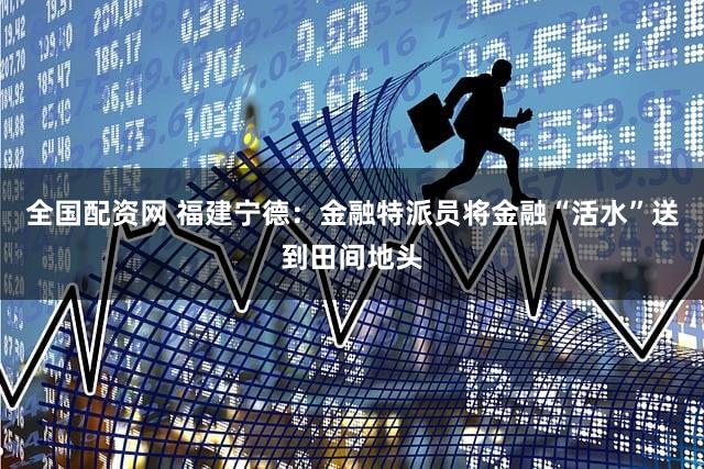 全国配资网 福建宁德：金融特派员将金融“活水”送到田间地头
