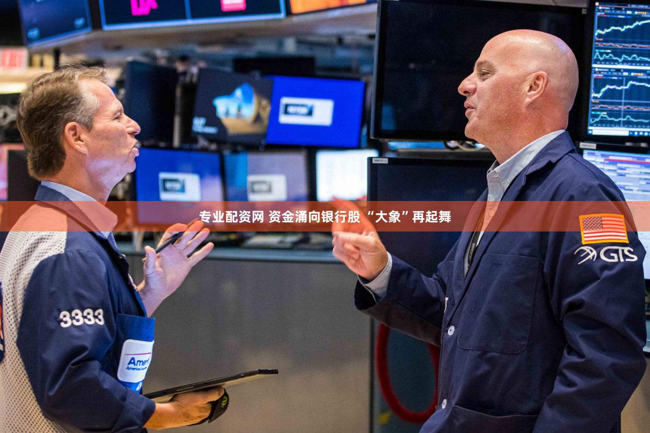 专业配资网 资金涌向银行股 “大象”再起舞