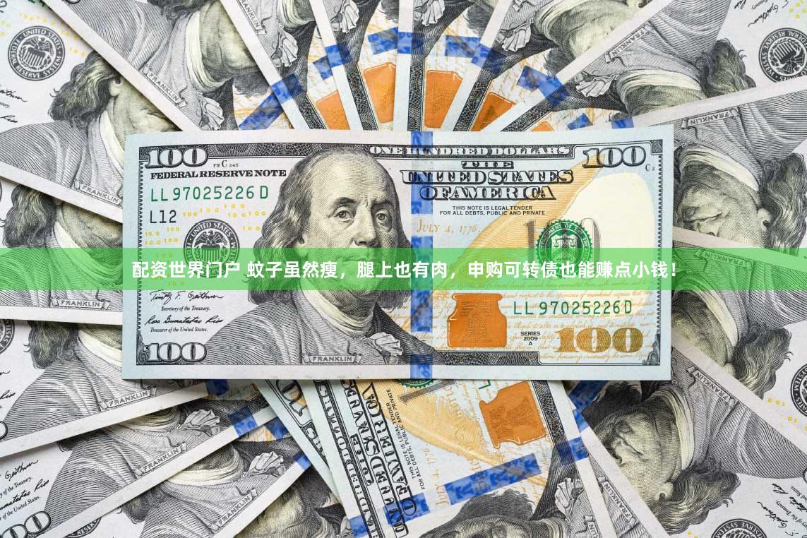 配资世界门户 蚊子虽然瘦,腿上也有肉,申购可转债也能赚点小钱!